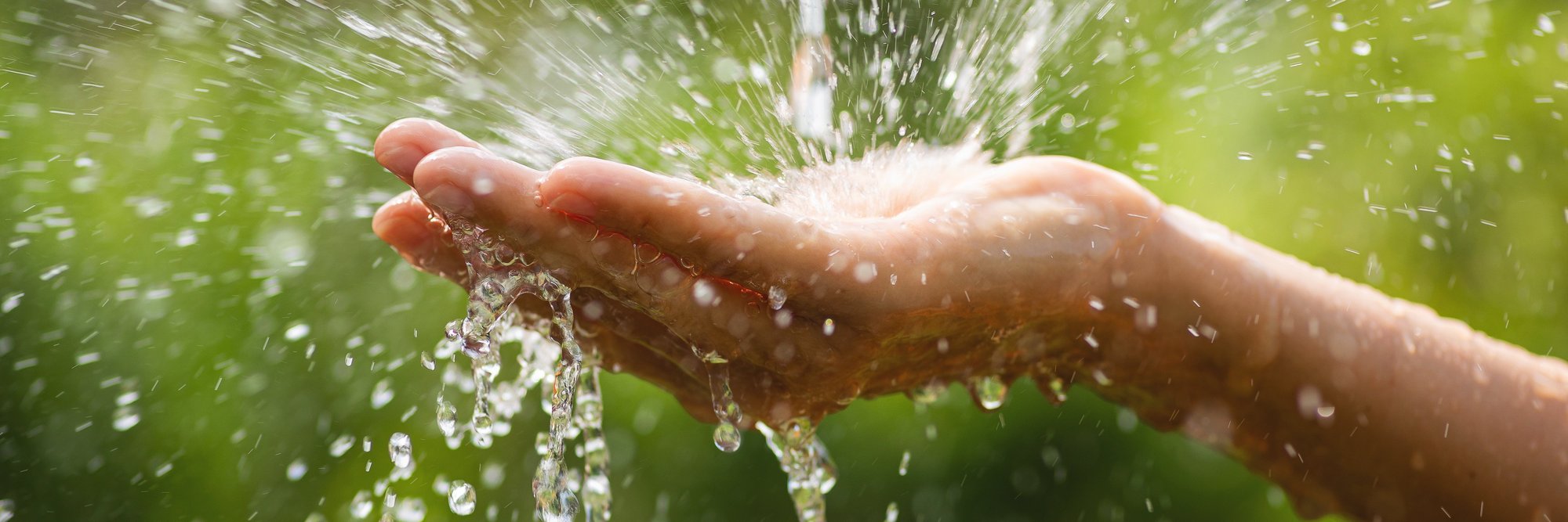 Wasserspritzen aus der Hand mit Pflanzen im Hintergrund. Das Bild zeigt eine Hand, die Wasser spritzt. Es ist ein natürlicher Hintergrund mit grünen Pflanzen zu sehen.