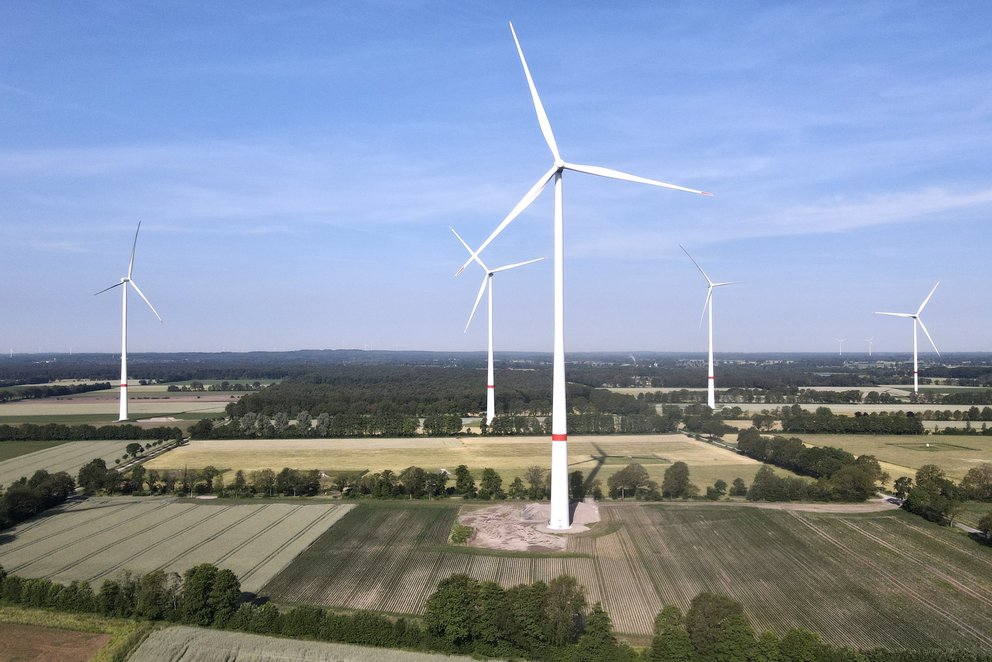Ansicht von Windrädern, die auf einem Feld stehen.