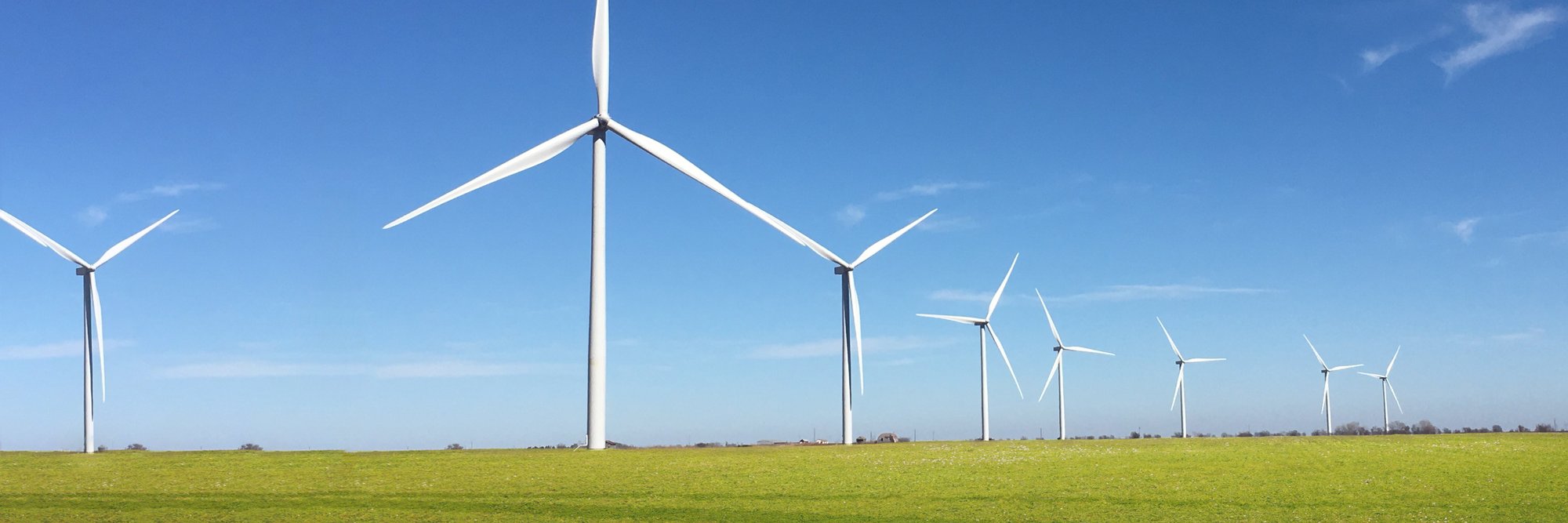 Ansicht von Windrädern, die auf einer Wiese stehen.