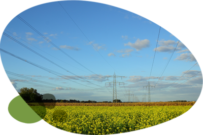 altix5 | Adobe.stock