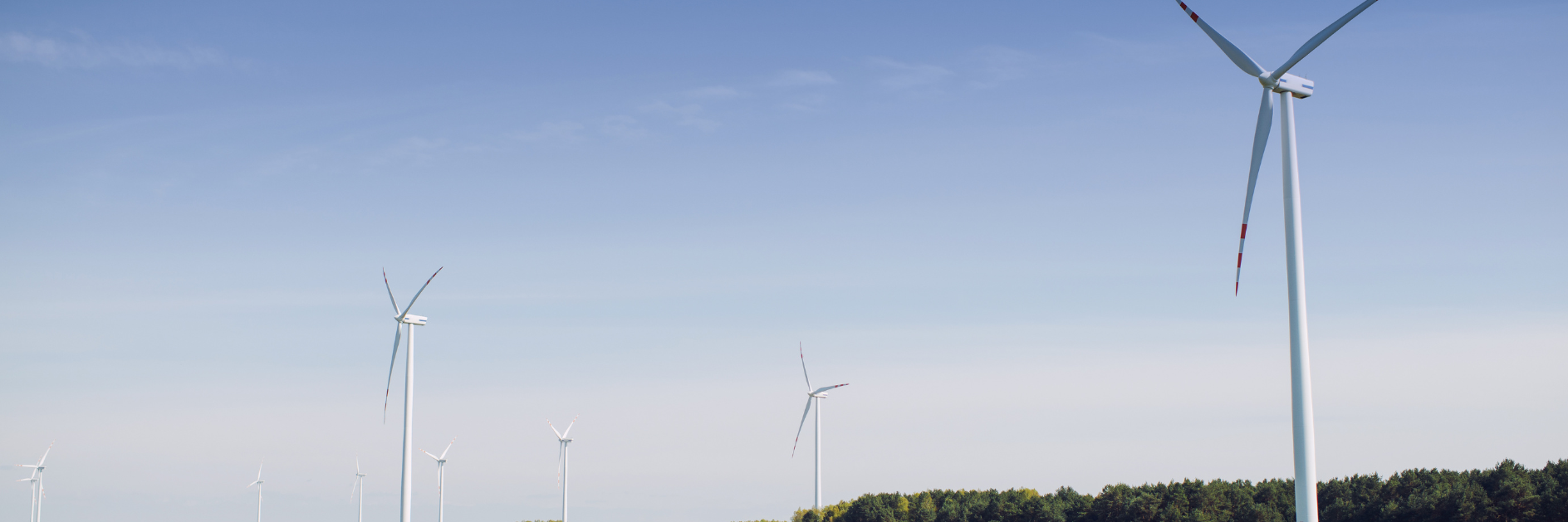 Windkraftanlagen auf einem grünem Feld.